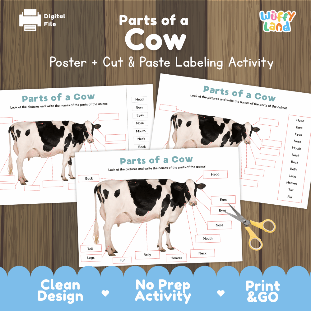 Parts of a Cow poster and cut and paste labeling activity printable pack showing labeled reference chart and differentiated worksheets for elementary science