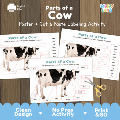 Parts of a Cow poster and cut and paste labeling activity printable pack showing labeled reference chart and differentiated worksheets for elementary science