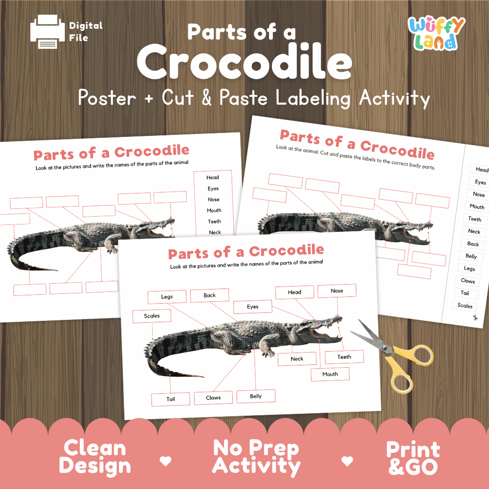  Parts of a Crocodile poster and cut and paste labeling activity printable pack showing labeled reference chart and differentiated worksheets for elementary science