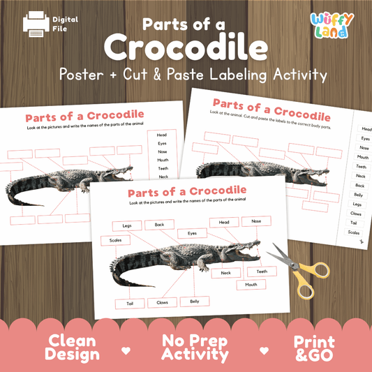  Parts of a Crocodile poster and cut and paste labeling activity printable pack showing labeled reference chart and differentiated worksheets for elementary science