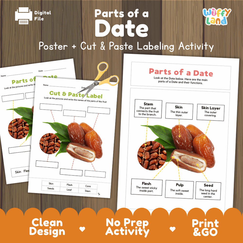 Parts of a Date poster and cut and paste labeling activity printable pack showing labeled reference chart and differentiated worksheets for elementary science
