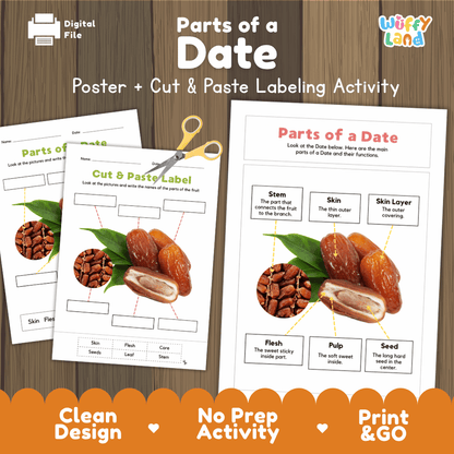 Parts of a Date poster and cut and paste labeling activity printable pack showing labeled reference chart and differentiated worksheets for elementary science