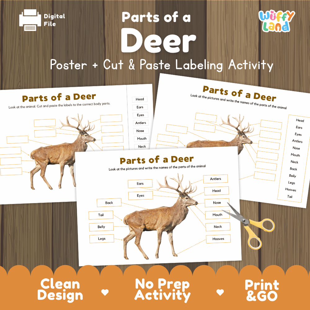 Parts of a Deer poster and cut and paste labeling activity printable pack featuring labeled reference chart and differentiated worksheets for elementary science