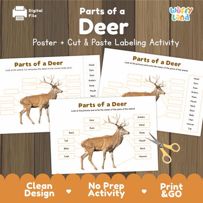 Parts of a Deer poster and cut and paste labeling activity printable pack featuring labeled reference chart and differentiated worksheets for elementary science