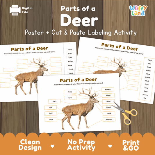 Parts of a Deer poster and cut and paste labeling activity printable pack featuring labeled reference chart and differentiated worksheets for elementary science
