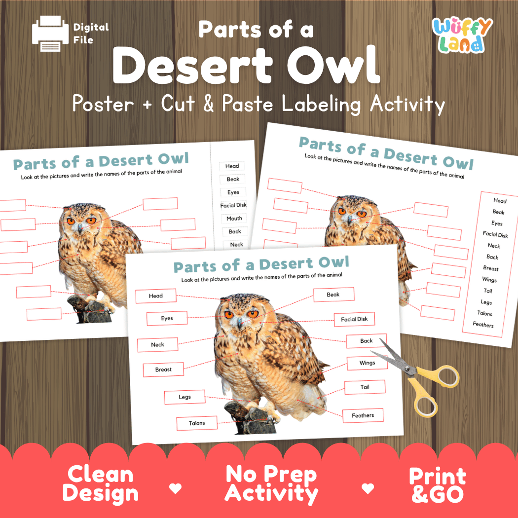 Parts of a Desert Owl anatomy poster and cut and paste labeling activity worksheet pack preview for elementary science