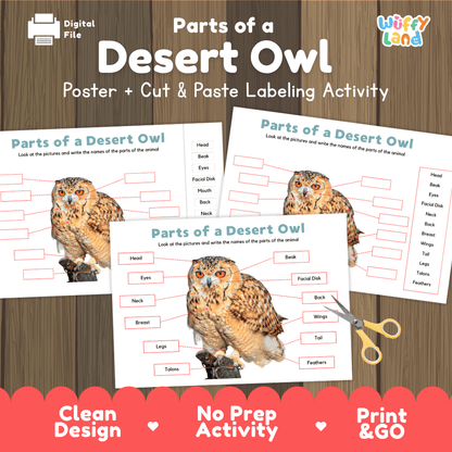 Parts of a Desert Owl anatomy poster and cut and paste labeling activity worksheet pack preview for elementary science