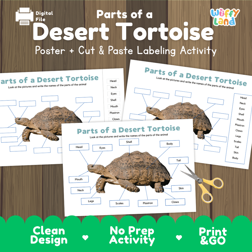 Parts of a Desert Tortoise anatomy poster and cut and paste labeling activity worksheet pack preview for elementary science