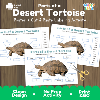 Parts of a Desert Tortoise anatomy poster and cut and paste labeling activity worksheet pack preview for elementary science