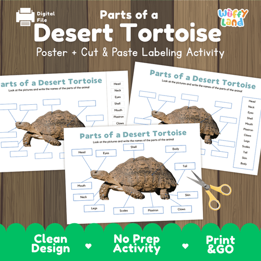Parts of a Desert Tortoise anatomy poster and cut and paste labeling activity worksheet pack preview for elementary science