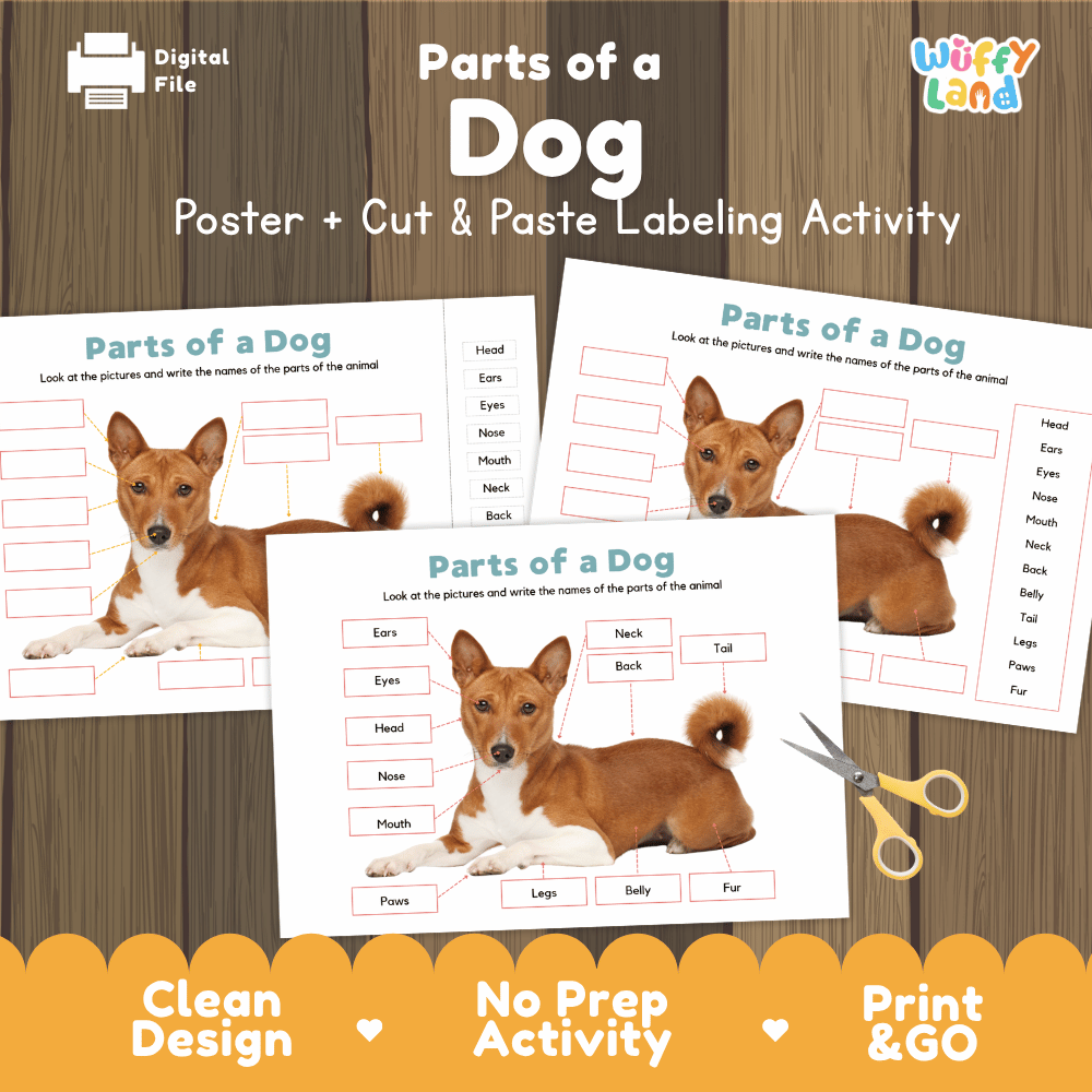 Parts of a Dog anatomy poster and cut and paste labeling activity worksheet pack preview for elementary science