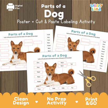 Parts of a Dog anatomy poster and cut and paste labeling activity worksheet pack preview for elementary science