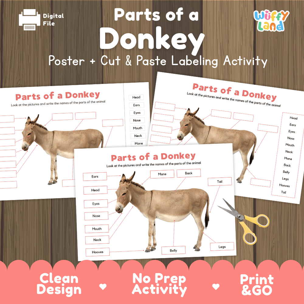 Parts of a Donkey anatomy poster and cut and paste labeling activity worksheet pack preview for elementary science