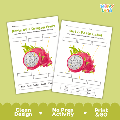 Clean science reference poster displaying a labeled realistic dragon fruit showing parts and functions from stem and scales to flesh and seeds