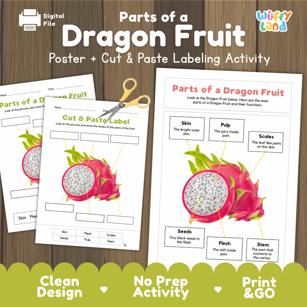 Parts of a Dragon Fruit poster and cut and paste labeling activity printable pack showing labeled reference chart and differentiated worksheets for elementary science