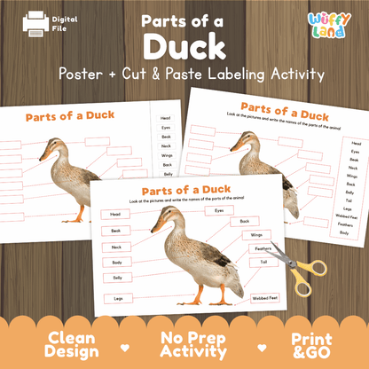 Parts of a Duck anatomy poster and cut and paste labeling activity worksheet pack preview for elementary science