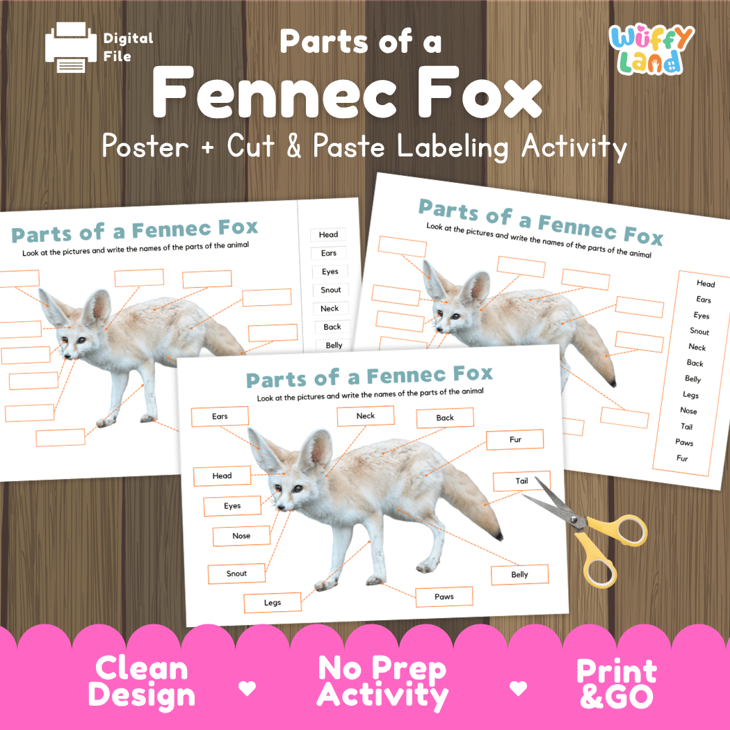 Parts of a Fennec Fox anatomy poster and cut and paste labeling activity worksheet pack preview for elementary science