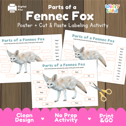 Parts of a Fennec Fox anatomy poster and cut and paste labeling activity worksheet pack preview for elementary science