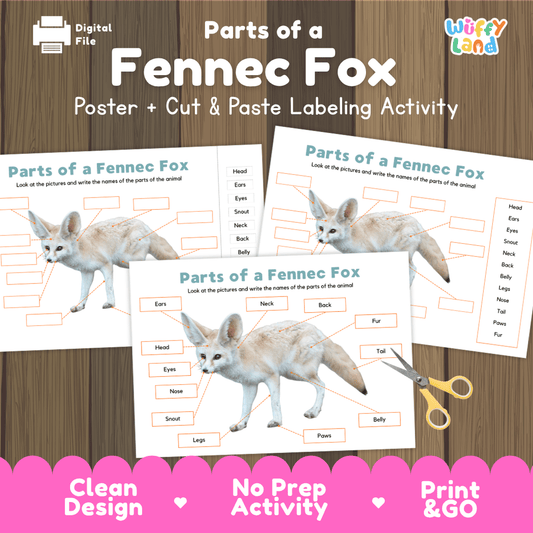 Parts of a Fennec Fox anatomy poster and cut and paste labeling activity worksheet pack preview for elementary science