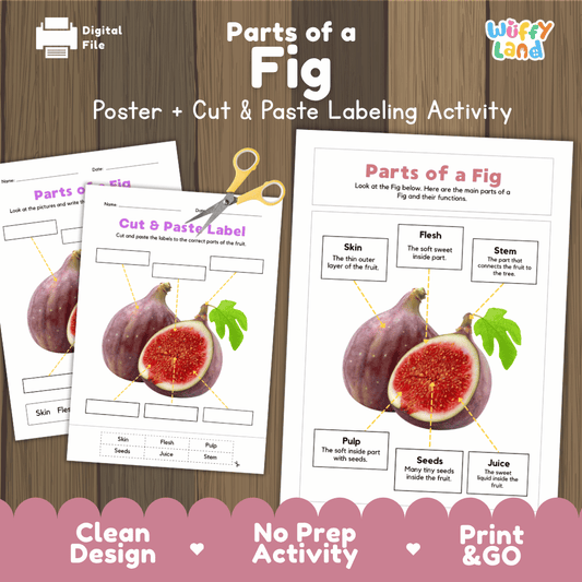 Parts of a Fig poster and cut and paste labeling activity printable pack showing labeled reference chart and differentiated worksheets for elementary science