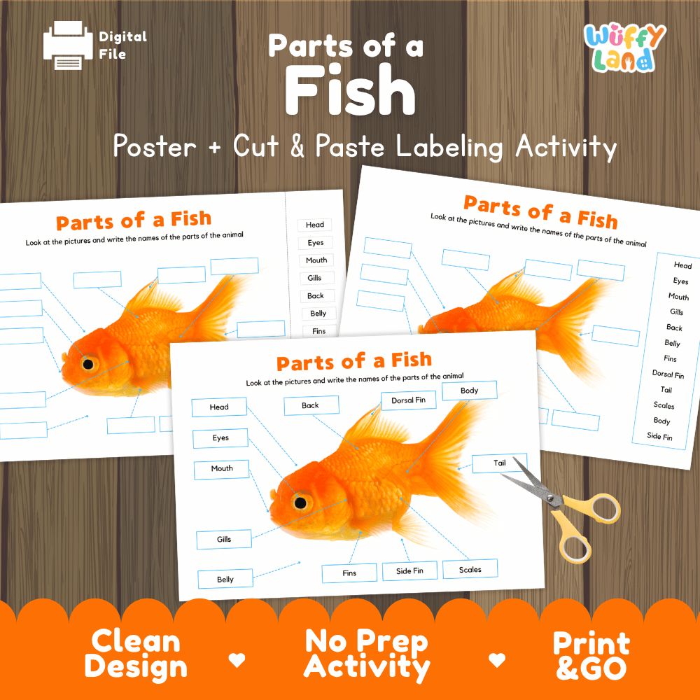 Parts of a Fish poster and cut and paste labeling activity printable pack showing labeled reference chart and differentiated worksheets for elementary science