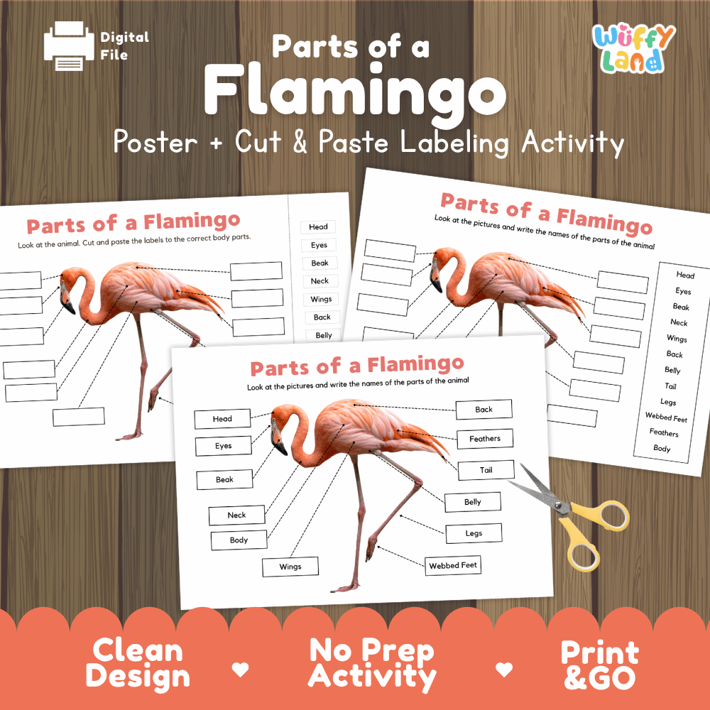 Parts of a Flamingo poster and cut and paste labeling activity printable pack showing labeled reference chart and differentiated worksheets for elementary science
