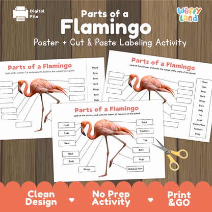 Parts of a Flamingo poster and cut and paste labeling activity printable pack showing labeled reference chart and differentiated worksheets for elementary science