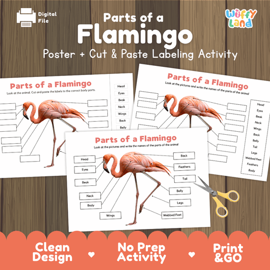 Parts of a Flamingo poster and cut and paste labeling activity printable pack showing labeled reference chart and differentiated worksheets for elementary science