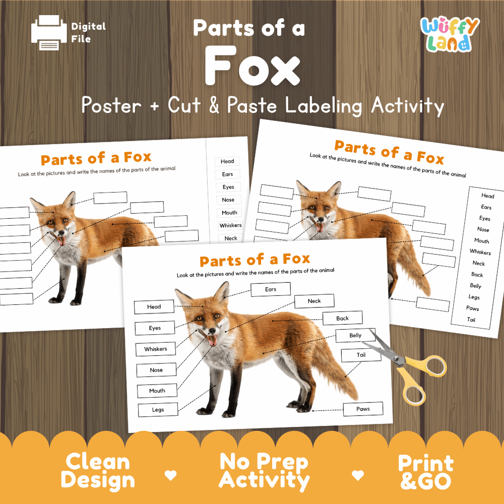 Parts of a Fox poster and cut and paste labeling activity printable pack showing labeled reference chart and differentiated worksheets for elementary science