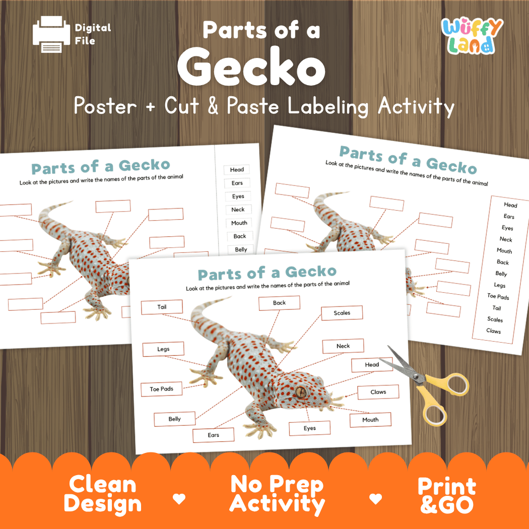 Parts of a Gecko anatomy poster and cut and paste labeling activity worksheet pack preview for elementary science