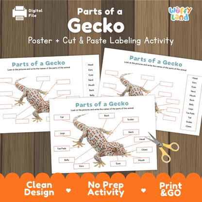 Parts of a Gecko anatomy poster and cut and paste labeling activity worksheet pack preview for elementary science