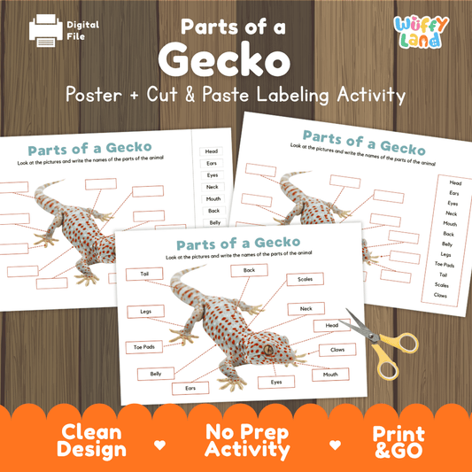 Parts of a Gecko anatomy poster and cut and paste labeling activity worksheet pack preview for elementary science
