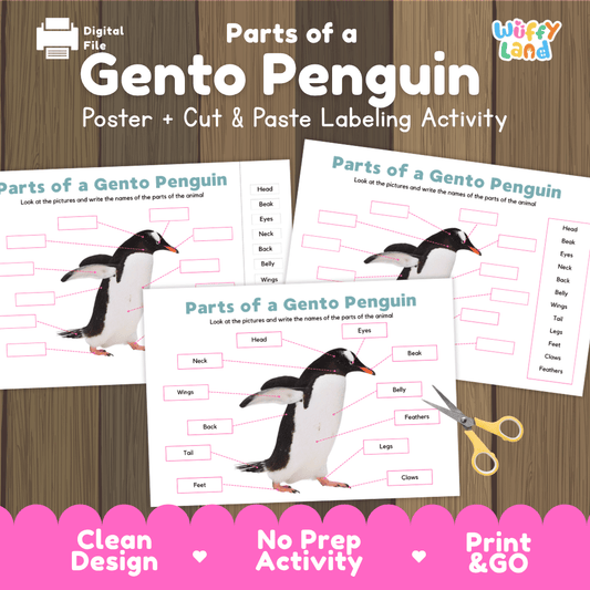 Parts of a Gento Penguin anatomy poster and cut and paste labeling activity worksheet pack preview for elementary science