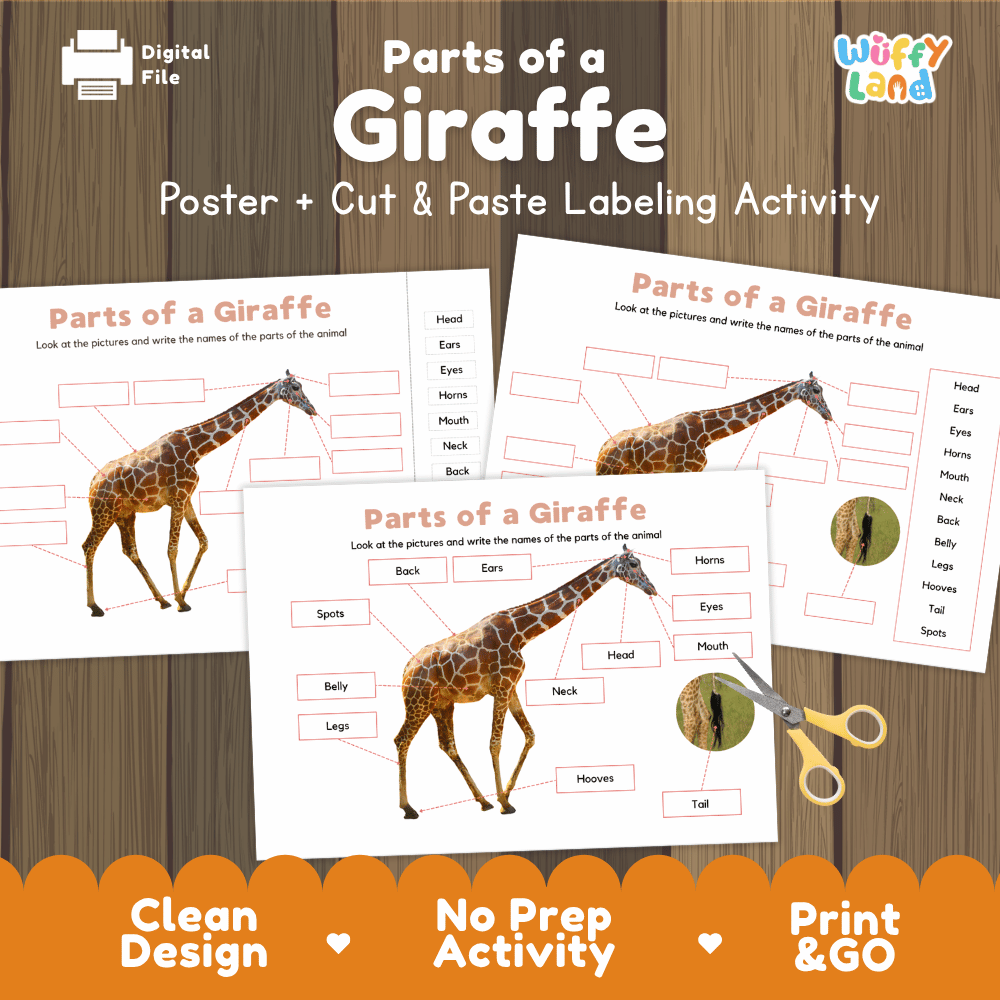 Parts of a Giraffe poster and cut and paste labeling activity printable pack showing labeled reference chart and differentiated worksheets for elementary science