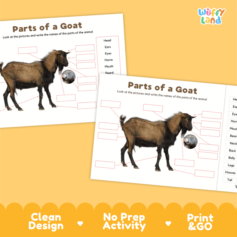 Clean science reference poster displaying a labeled realistic goat showing external body parts from horns to hooves