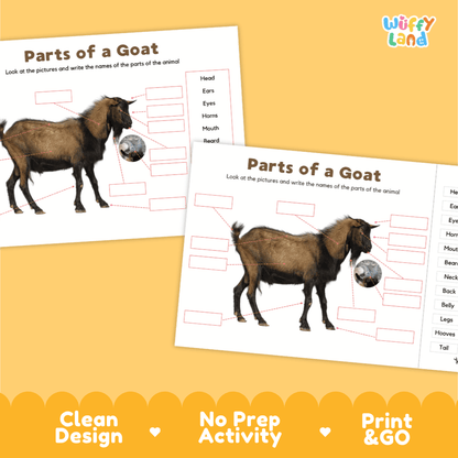Clean science reference poster displaying a labeled realistic goat showing external body parts from horns to hooves