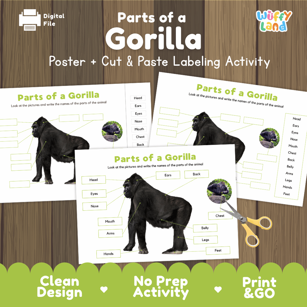 Parts of a Gorilla anatomy poster and cut and paste labeling activity worksheet pack preview for elementary science