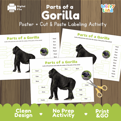 Parts of a Gorilla anatomy poster and cut and paste labeling activity worksheet pack preview for elementary science