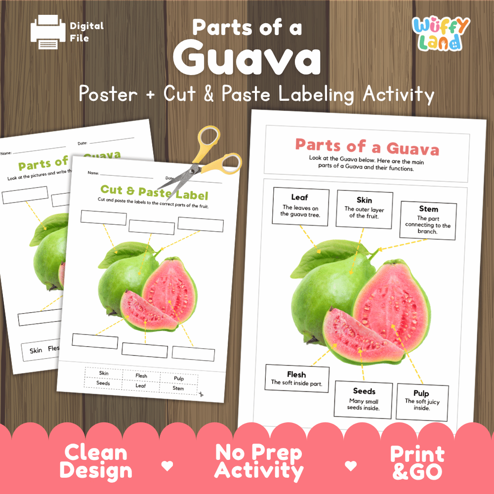 Parts of a Guava poster and cut and paste labeling activity printable pack showing labeled reference chart and differentiated worksheets for elementary science
