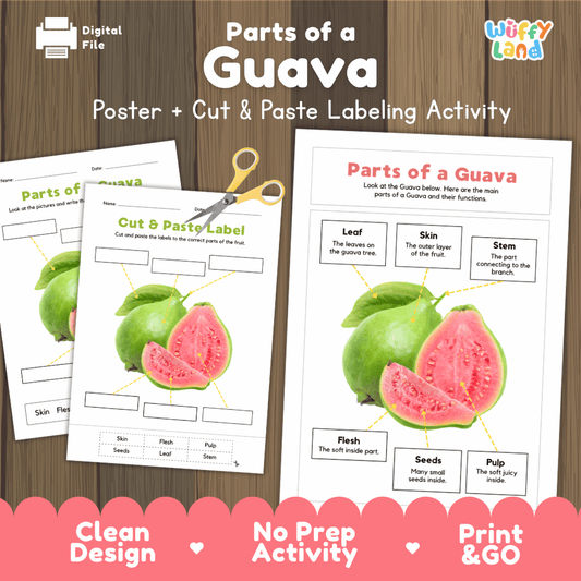 Parts of a Guava poster and cut and paste labeling activity printable pack showing labeled reference chart and differentiated worksheets for elementary science