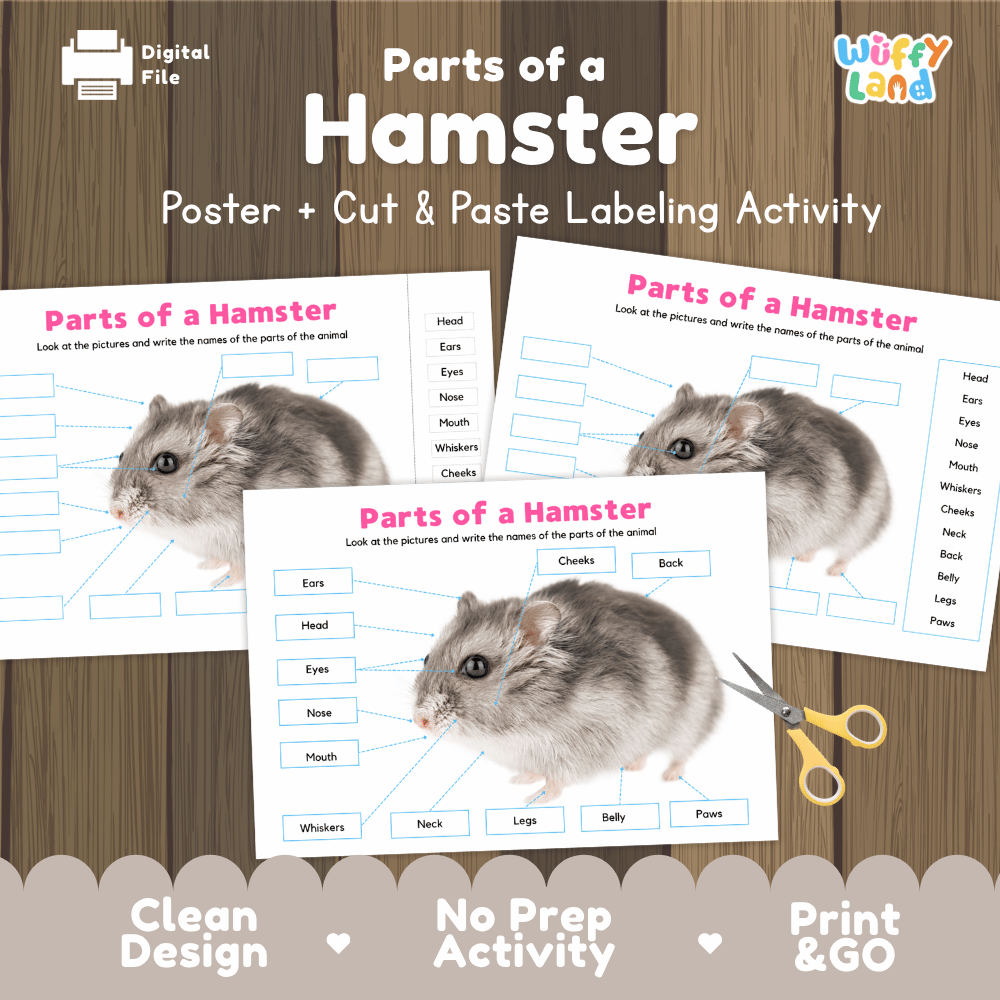 Parts of a Hamster poster and cut and paste labeling activity printable pack showing labeled reference chart and differentiated worksheets for elementary science