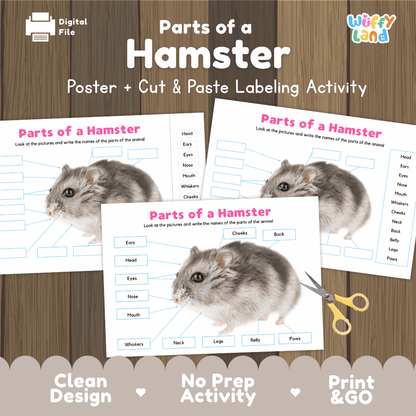 Parts of a Hamster poster and cut and paste labeling activity printable pack showing labeled reference chart and differentiated worksheets for elementary science