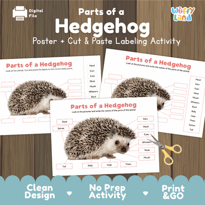 Parts of a Hedgehog anatomy poster and cut and paste labeling activity worksheet pack preview for elementary science