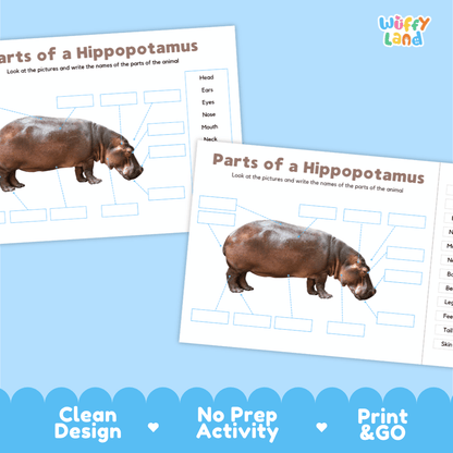Clean science reference poster displaying a labeled realistic hippopotamus showing external body parts from snout to tail