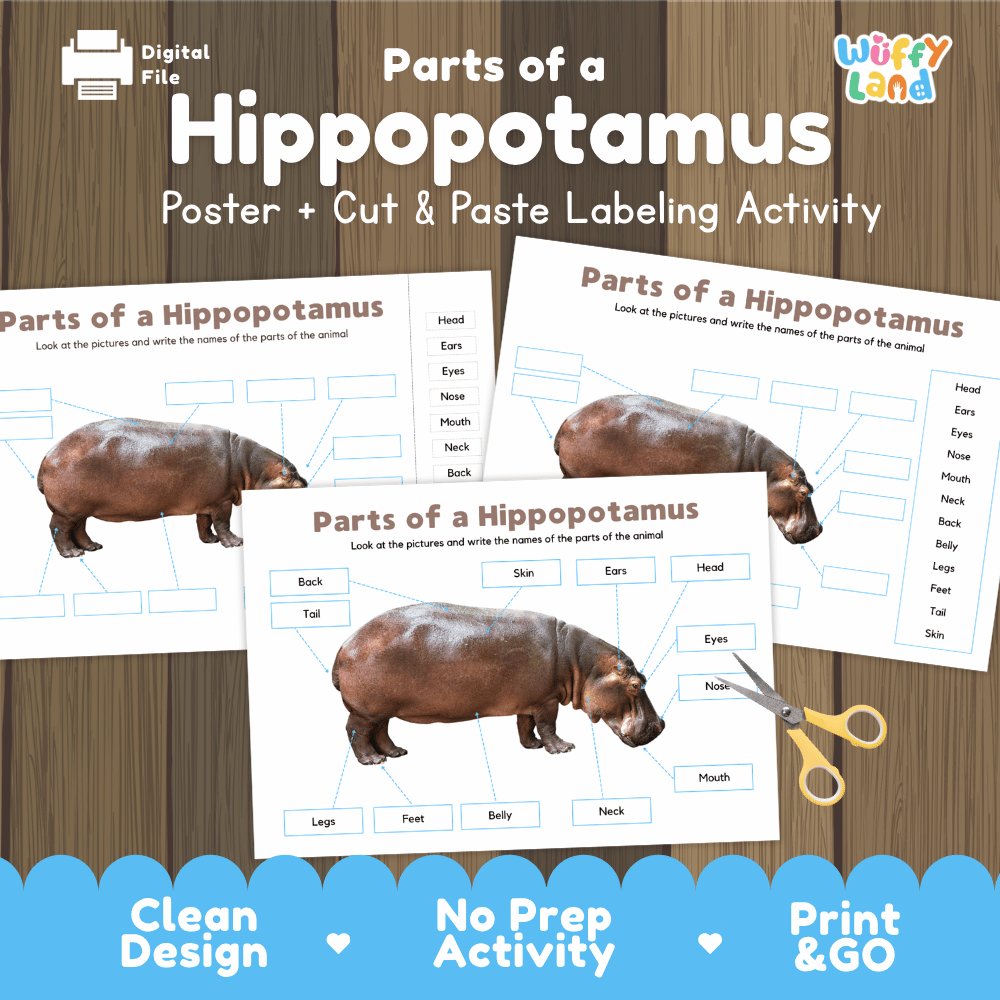 Parts of a Hippopotamus poster and cut and paste labeling activity printable pack showing labeled reference chart and differentiated worksheets for elementary science