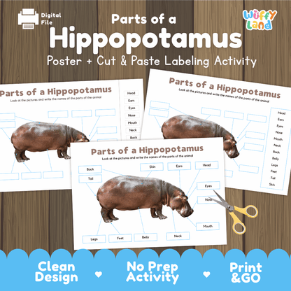 Parts of a Hippopotamus poster and cut and paste labeling activity printable pack showing labeled reference chart and differentiated worksheets for elementary science