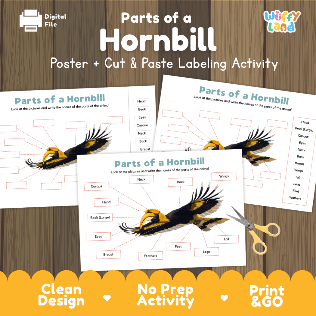 Parts of a Hornbill anatomy poster and cut and paste labeling activity worksheet pack preview for elementary science