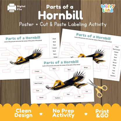 Parts of a Hornbill anatomy poster and cut and paste labeling activity worksheet pack preview for elementary science