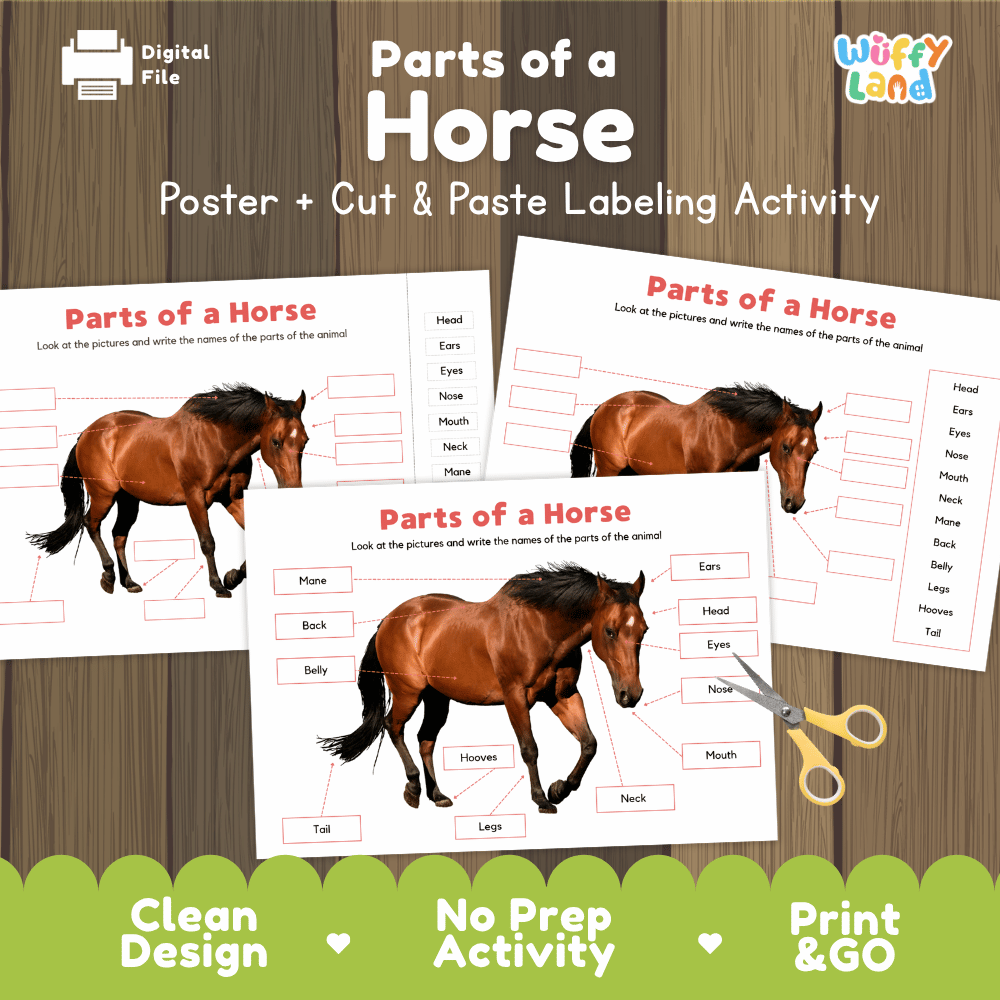 Parts of a Horse anatomy poster and cut and paste labeling activity worksheet pack preview for elementary science