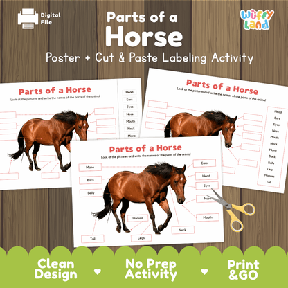 Parts of a Horse anatomy poster and cut and paste labeling activity worksheet pack preview for elementary science